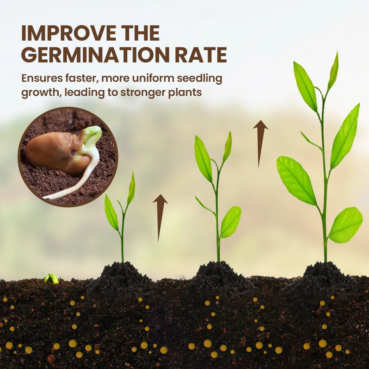 🏅 Gardener‘s Choice 2026 | Soil Pro Activator 💪 Stronger Roots 【75K+ SOLD】