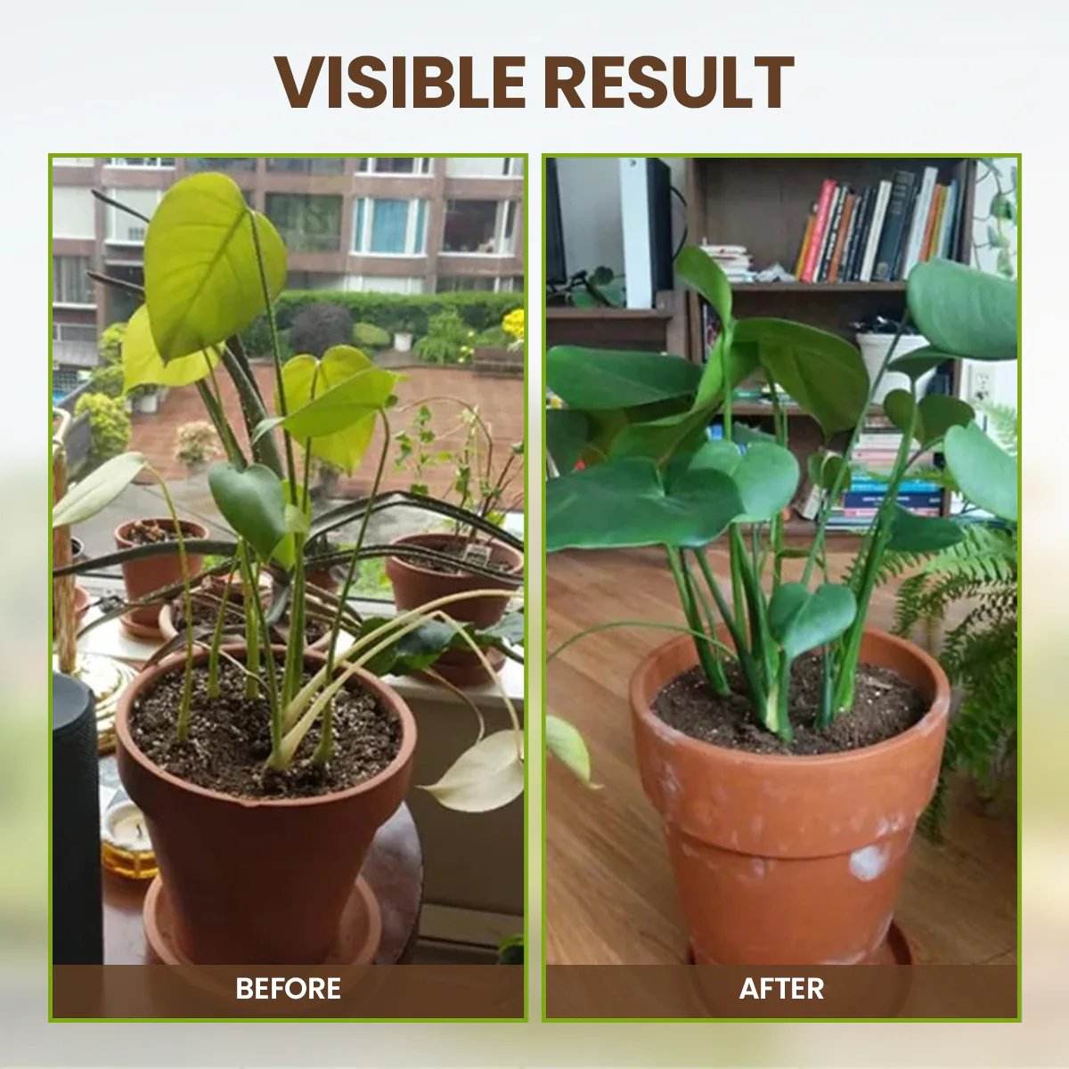 🏅 Gardener‘s Choice 2026 | Soil Pro Activator 💪 Stronger Roots 【75K+ SOLD】