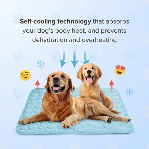 🧊Dog Cooling Mat (4x more effective)