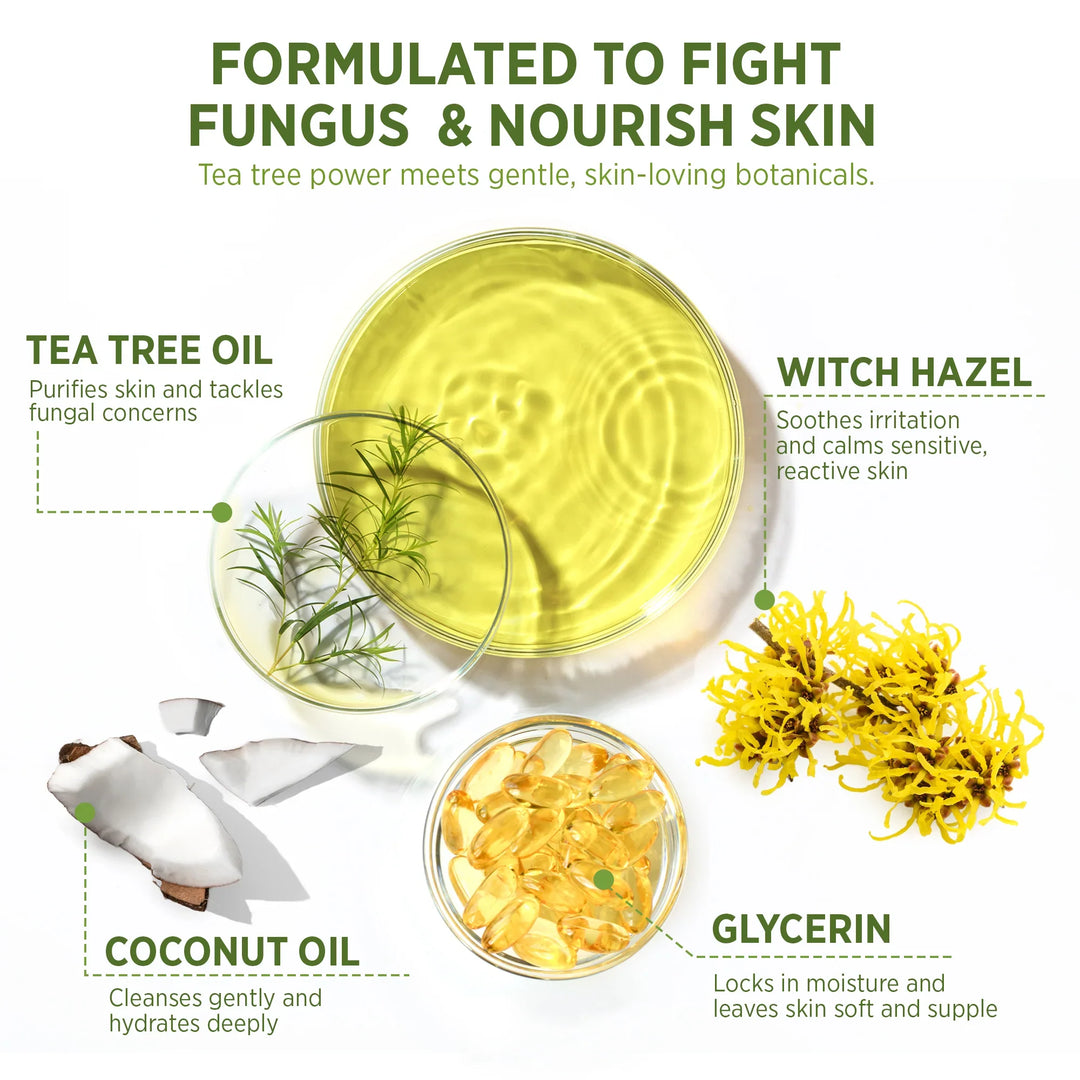 ✨2026 HOT SALE New Arrival🔥 Tea Tree Oil Soap