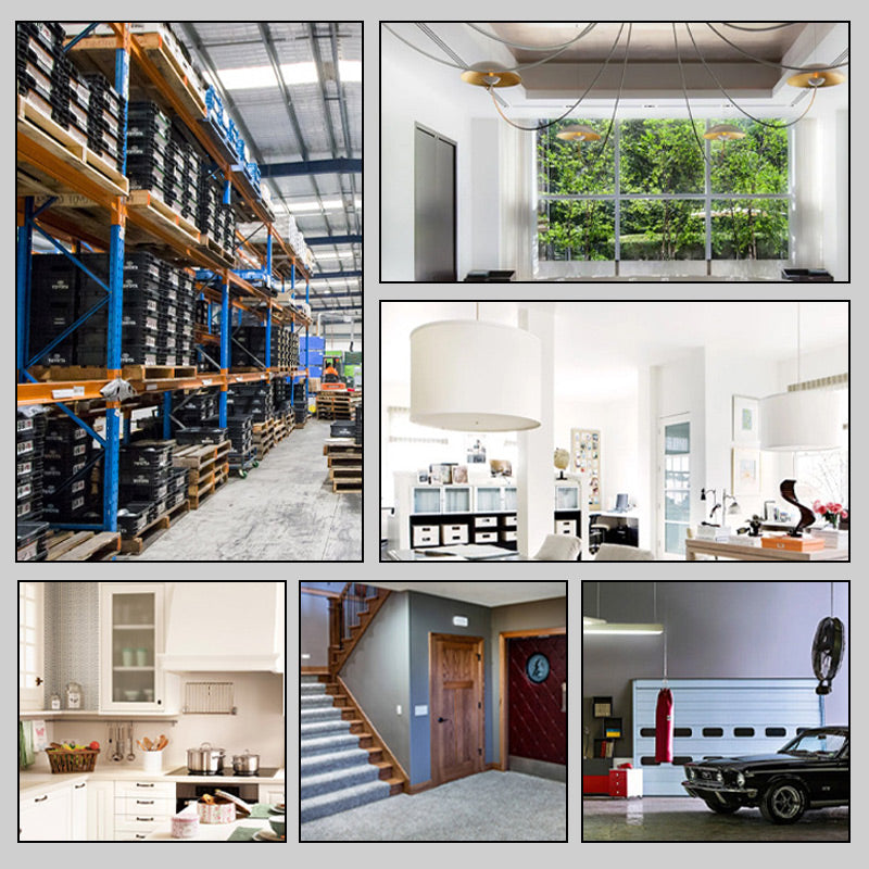 🔥Puissant répulsif à ultrasons contre les rongeurs enfichable