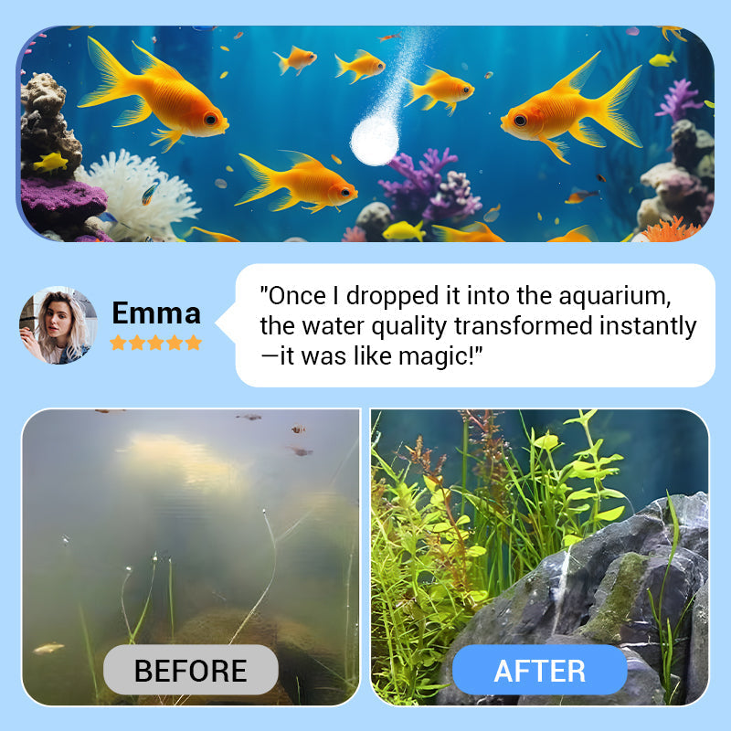 Buy 2 Get 1 Free⚡50K+ SOLD!🐠Powerful Aquarium Water Purification Tablet🌿