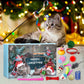 🎅Christmas Countdown Delight!🎅2025 New Cat Advent Calendar 24 Days Countdown
