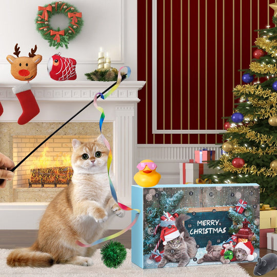 🎅Ziemassvētku atpakaļskaitīšanas prieks!🎅2025. gada jaunā kaķa adventes kalendārs 24 dienu atpakaļskaitīšana