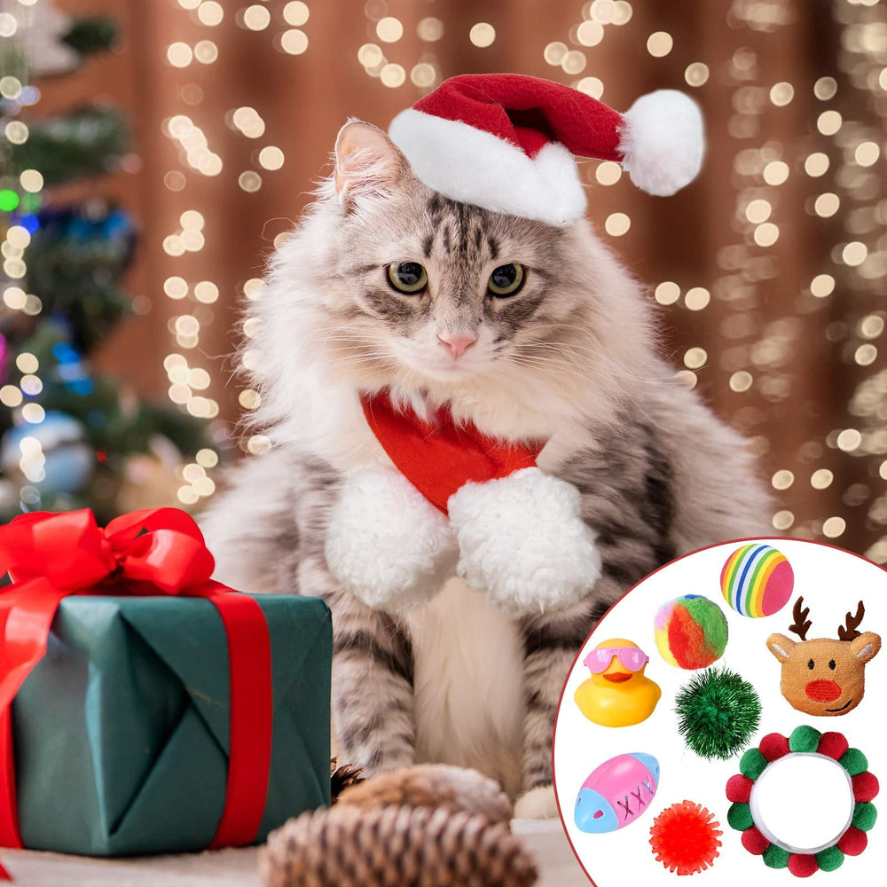 🎅Ziemassvētku atpakaļskaitīšanas prieks!🎅2025. gada jaunā kaķa adventes kalendārs 24 dienu atpakaļskaitīšana
