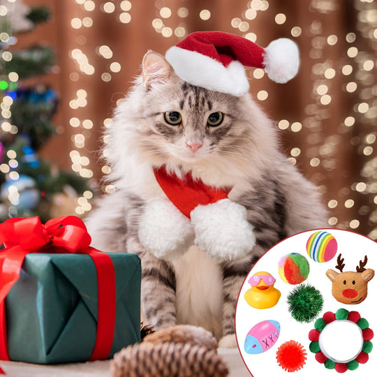 🎅Ziemassvētku atpakaļskaitīšanas prieks!🎅2025. gada jaunā kaķa adventes kalendārs 24 dienu atpakaļskaitīšana