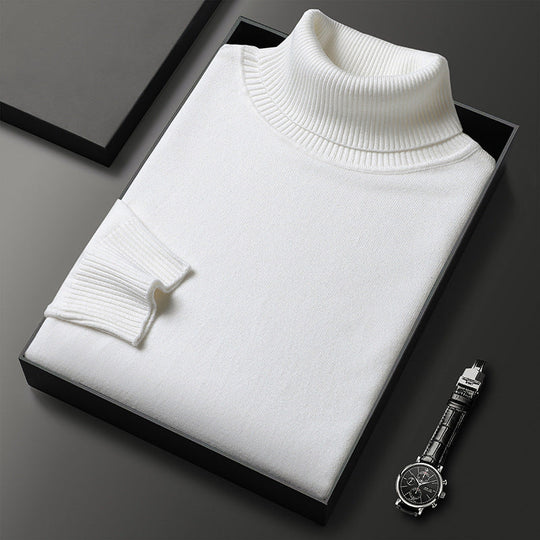 HOT SALE-49% OFF ✨Men's Solid Color Premium Turtleneck Sweater
