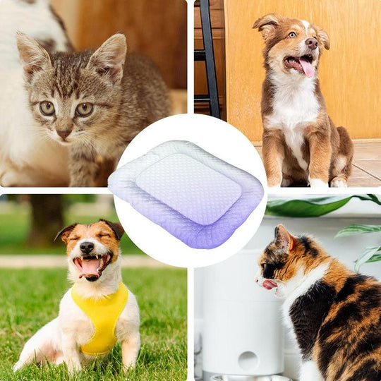 ⏰Limited Time 50%OFF !!!🐶Ice Silk Pet Cooling Mat – Breathable Summer Cooling Bed for Dogs & Cats