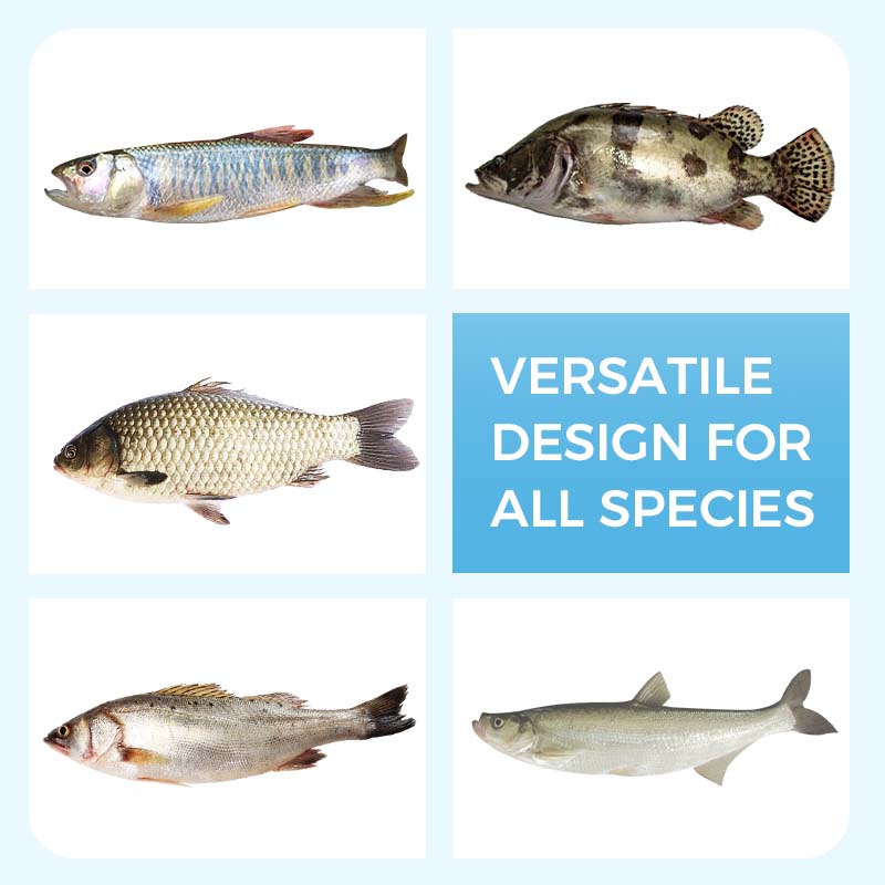 🦈Soft Floating Worm Lure Bait for Fishing