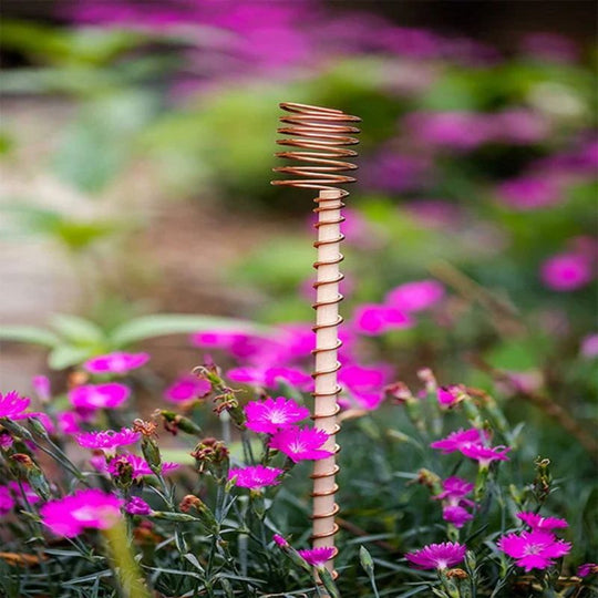 🌿 Electroculture antenna – increase yields by 70%, reduce pesticides, no fertilizer needed! ⚡🍀