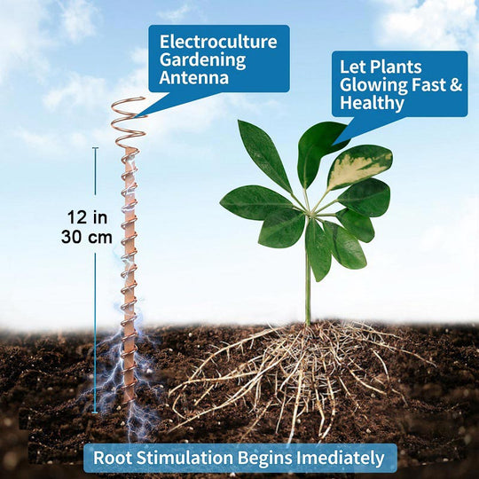 🌿 Electroculture antenna – increase yields by 70%, reduce pesticides, no fertilizer needed! ⚡🍀