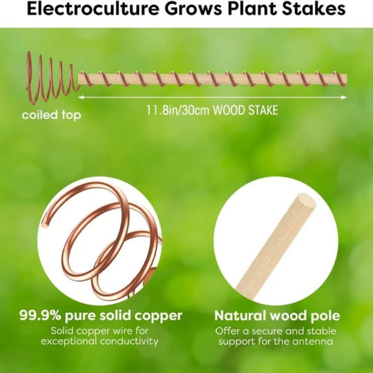 🌿 Electroculture antenna – increase yields by 70%, reduce pesticides, no fertilizer needed! ⚡🍀