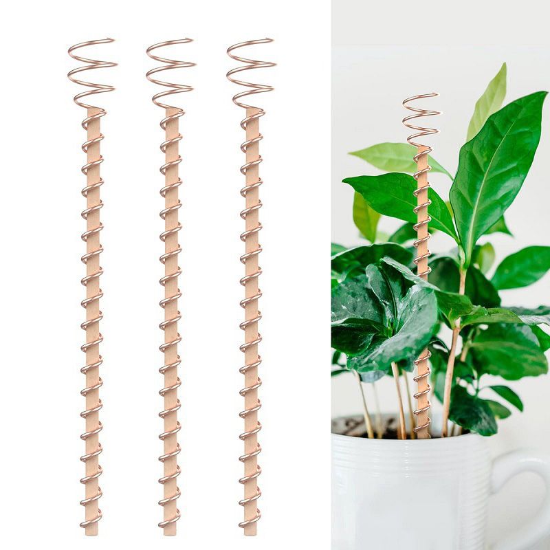 🌿 Electroculture antenna – increase yields by 70%, reduce pesticides, no fertilizer needed! ⚡🍀
