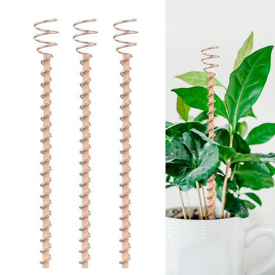 🌿 Electroculture antenna – increase yields by 70%, reduce pesticides, no fertilizer needed! ⚡🍀